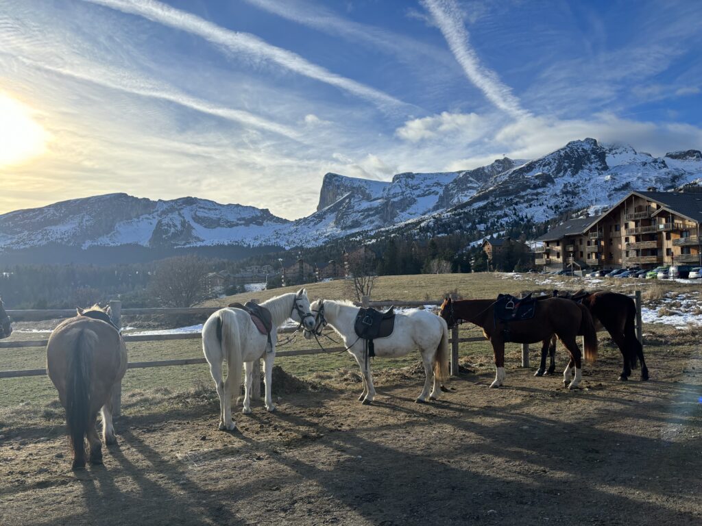 Ballade Poney SuperDévoluy